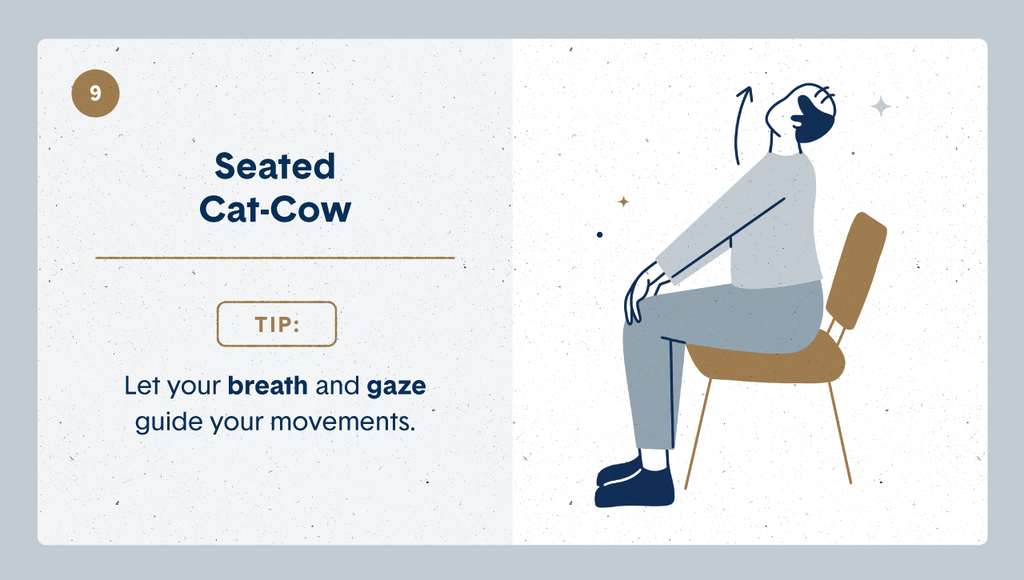 Seated Cat-Cow